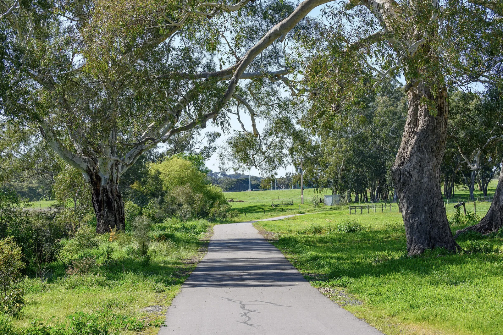 Mount Barker wetlands and natural landscape Adelaide Hills